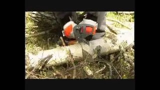 PELLENC Selion HandHeld & Pole Chainsaw Range