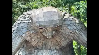 Bernheim Forest June '25