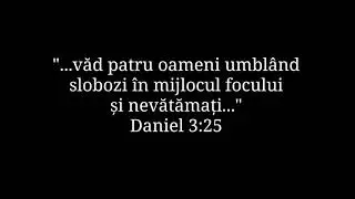 Sfânt cuptor al suferinței | Nicolae Moldoveanu | Cântările Harului