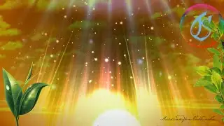 Festive Sunrise Обзор сайта компании