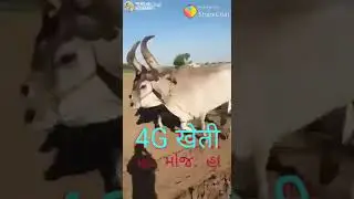 Chandan kumar