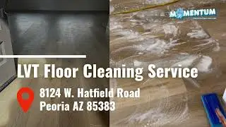 LVT Floor Cleaning: 8124 W. Hatfield Road Peoria AZ 85383 | Momentum Carpet & Floor Care, LLC.