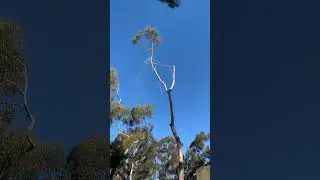 Roping and rigging