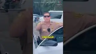 Tyrant Sergeant VIOLATES Rights! 🚨 Know your rights! - WALK OF SHAME