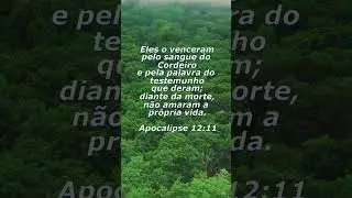 Apocalipse 12:11