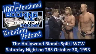 The Hollywood Blonds Steve Austin and Brian Pillman Split Up!