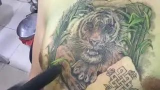 BUS BAMBOO TATTOO AT PHI PHI ISLAND THAILAND