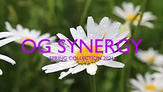 OG Synergy Spring 2021 Commercial 02