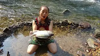 Survival Skills : Primitive Girl Biuld Trap Fish From Rocks To Catch Fish For Food