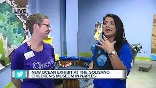 New ocean exhibit at the Golisano Children's Museum in Naples
