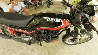 YAMAHA RXZ 135 5 SPEED 1985