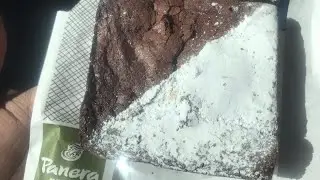 .99 Brownie PANERA BREAD Taste test and Review | BETTER THAN STARBUCKS BROWNIES?!?!?!
