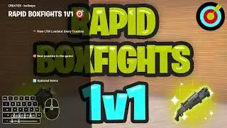 1v1 box fights