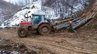 Massey Ferguson 3060 pekar na Javorcu