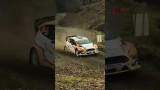 Ford fiesta R5 rally car - Kielder forest rally 2023