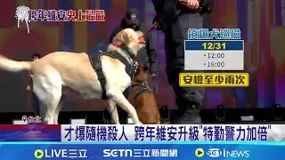 防恐攻.踩踏! 北市跨年維安