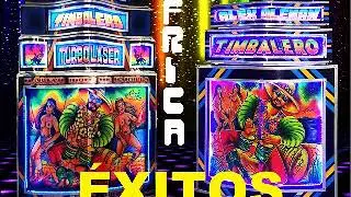 EL NOEL - &Eacute;XITO PICOTERO