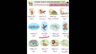 Janwaro ki harkat va saknat/std-1/Urdu Medium/