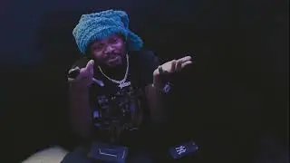 Nemo - Bargain (Official Music Video)