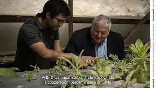 Participación de Chile en Cooperación Iberoamericana (2025)
