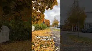 Autumn is full of symbolism and quiet wisdom.
