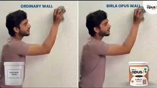 Birla Opus | Calista Neo Star | Film Integrity |
