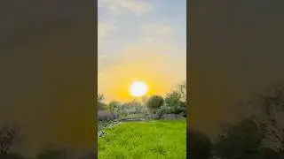 Farm #shorts #trending #song #punjabisong #rajasthaniclture #viral #farming #love #like #villagelife