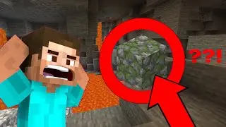 Minecraft Clip: who's this guy?!(shubbleyt)