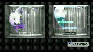 Animal freezing behavior and motion prediction based on Instance segmentation