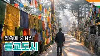 티베트 정부의 망명지 다람살라 돌아보기 - 인도 [유라시아 35]