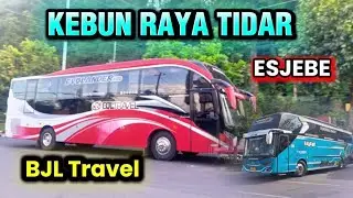 Kebun raya tidar magelang,bjl travel esjebe dll