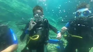 Discover scuba diving in Porto Elea
