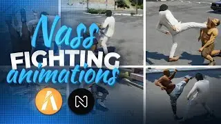Nass Advanced Fighting System