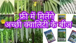 Get Free Vegetables Seed अच्छी क्वॉलिटी के सब्जी के बीज पाए फ्री में