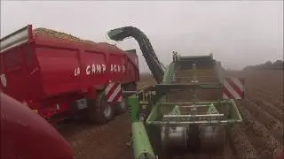 Arrachage de pomme de terre 2018 [GoPro]