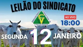 Leil&atilde;o Sindicato Rural Campina Verde - 01 de Janeiro 2026