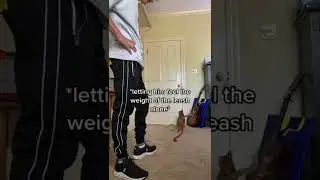 Teaching Kurt to Walk on a Leash