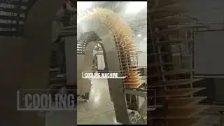 Automatic Wafer Biscuit Making Machine and Packing Machine 2t/24hrs