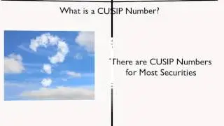 What is a CUSIP Number