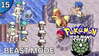 SHOWDOWN AT METEOR FALLS! | Pok&eacute;mon Too Many Types 2 (Ep 15)