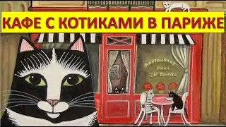 Кафе с котиками в Париже