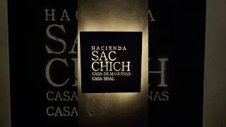 M&eacute;rida, Yucat&aacute;n .