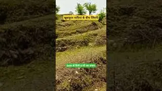 Property Investment in Uttarakhand. #propertyinvestment #Uttarakhand #lifeinmountains