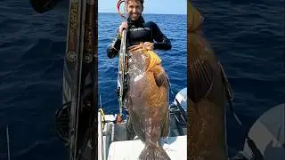 Cernione 22 kg a 37