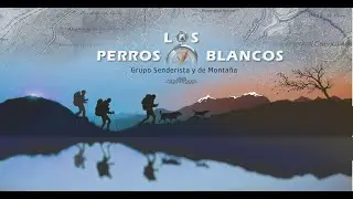 LPB 2do. semestre 2025