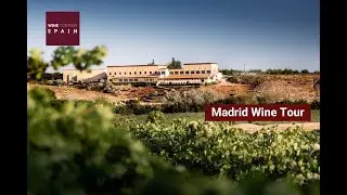 Wine tour Spain:  Madrid Wine Country day tour (BEST) -  best wineries in Madrid #Madrid #wine #tour