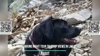 2-Hours Hiking Night Tour to Strip Views in Las Vegas