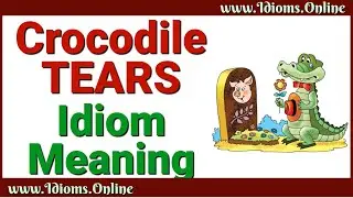 Crocodile Tears Meaning - English Idiom Videos