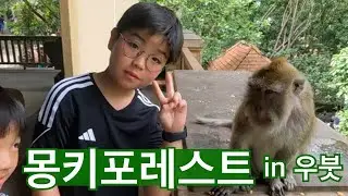 🇮🇩발리 우붓 몽키 포레스트 & 웨스틴 우붓