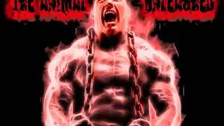 Top 10 WWE Theme Songs